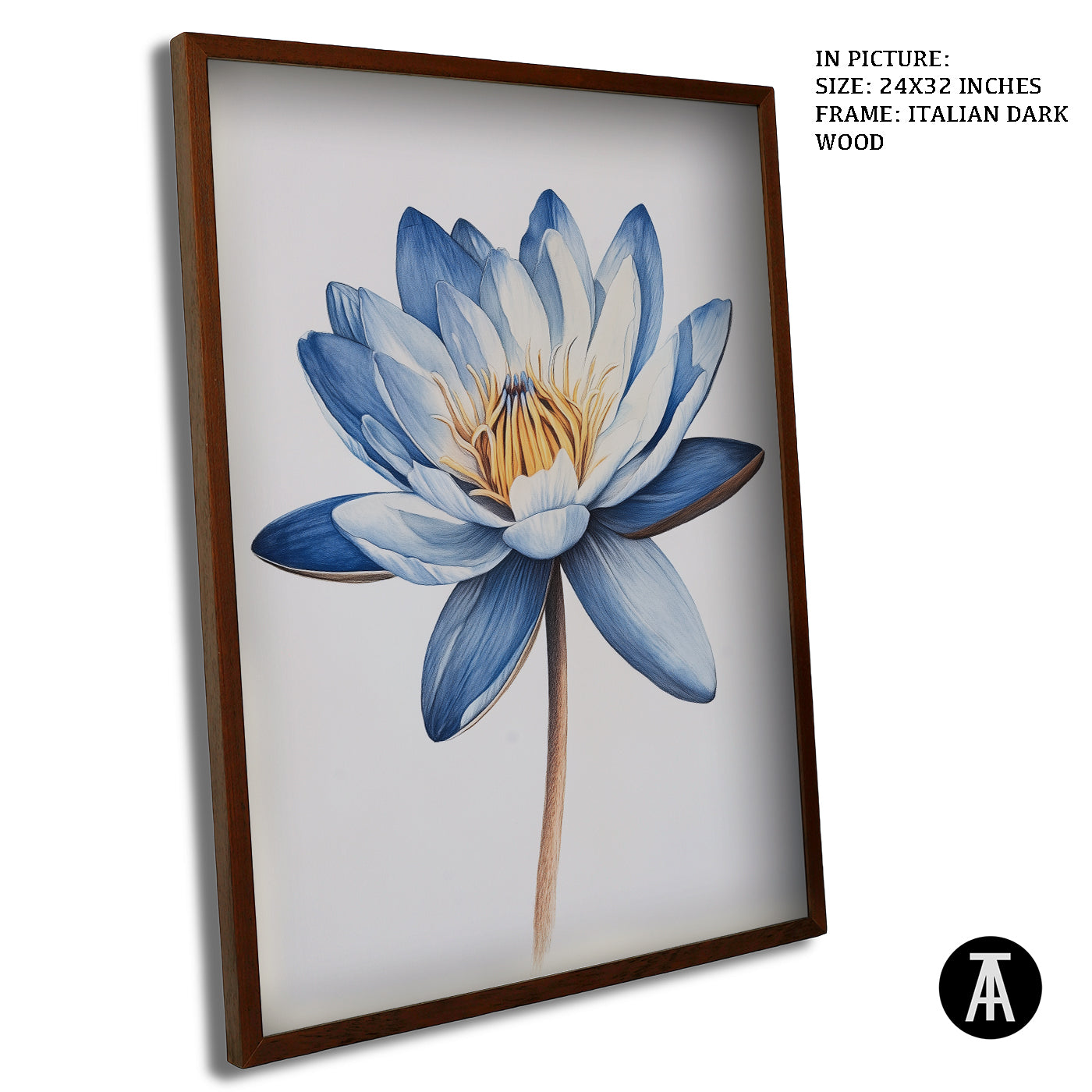 Artwork in Dark Wood Frame