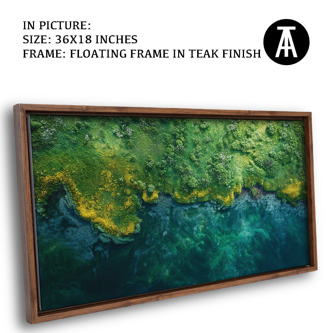 Artwork in Floating Frame