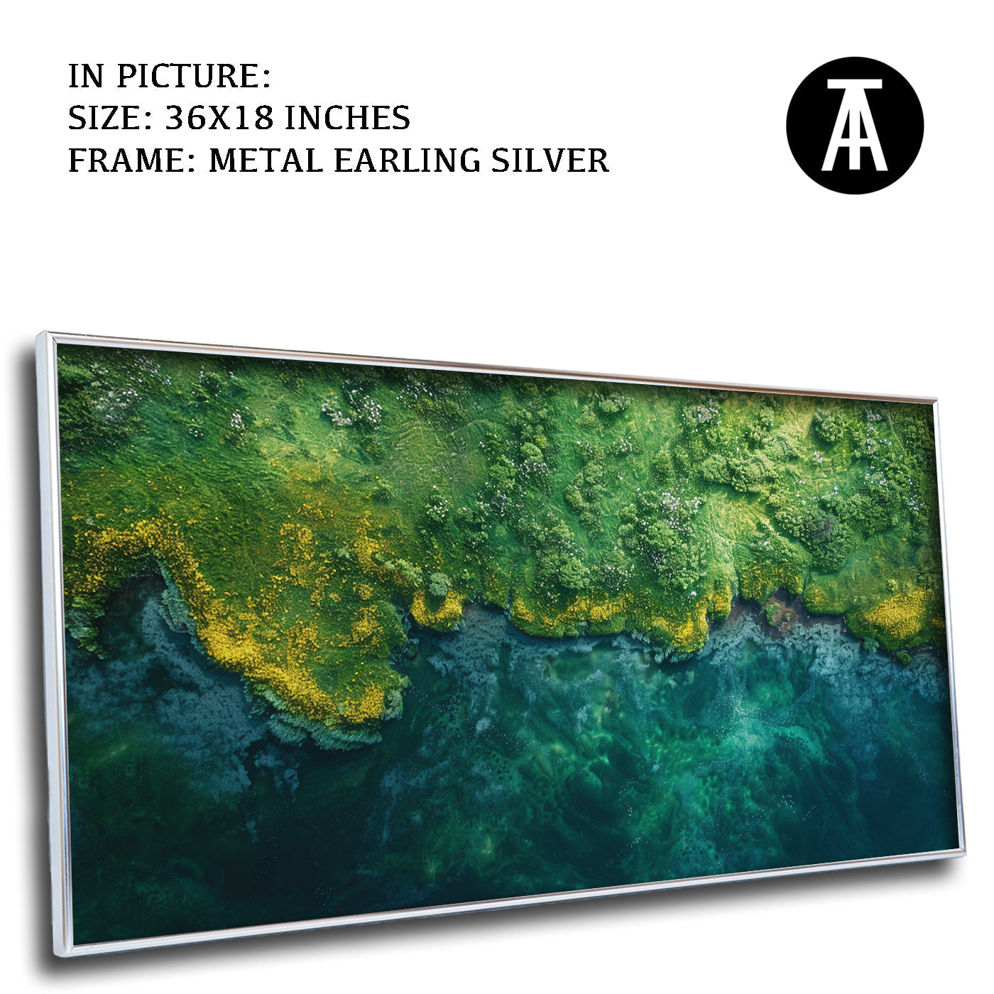 Artwork in Black Frame