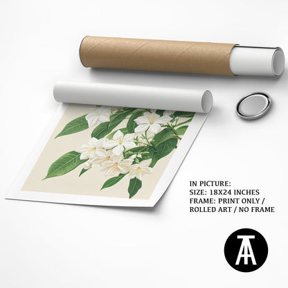 Artwork as Print Only or Rolled Art