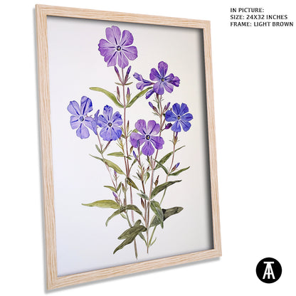 Artwork in Dark Brown Frame