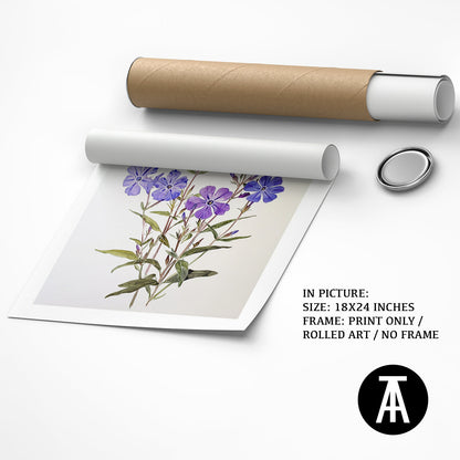 Artwork as Print Only or Rolled Art