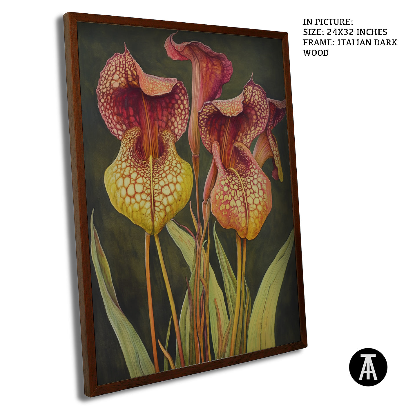 Artwork in Dark Wood Frame