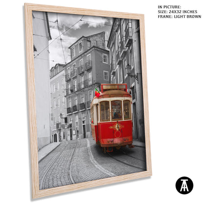 Artwork in Dark Brown Frame